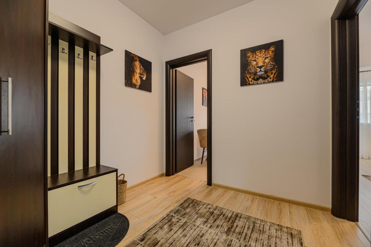 Zen Apartments Braşov Eksteriør bilde